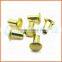  high quality ss304 flat head hollow rivet