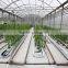 Poly Tunnel Agricultural Greenhouse