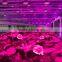 Hot sales in USA Europe 36w 24w 12w E27 led garden light PAR38 led grow light