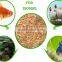 High protein Bird food dried mealworm organic