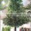 Landscape artificial scotch pine tree for geological museum decoration