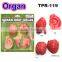 Promotional Soft Organs Toys for Kids