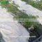 Garden Greenhouse Coconut Cultivation Equipment/Hydroponics Growing Systems