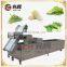 Multifunction air bubble vegetable and fruit washing machine red dates washing machine orange fruit washing machine