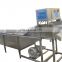 hot sale industrial fruit washing and drying machine for sale
