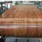 PPGI/PPGL/ Color Coated Steel