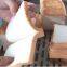 Sandwich Slicer