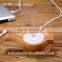 GX Diffuser GX-B01 Home Air Purifier/ Car Incense Burner/ Mini Nebulizer