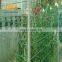 School boundary  powder coated round post wire mesh fence