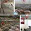 Water  level controller  for pigs water bowl drinking system
