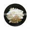 Good quality cheap price high purity TSP Trisodium phosphate dodecahydrate powder