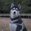 Quickly release dog harness soft material outdoor pet harness full size