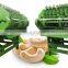 Inca fruit crusher cracker Remove machine