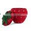 Hot Sale Strawberry Rattan Storage Basket with Lid Decorative Bin Home Decor Shelf Organizer Vietnam Supplier