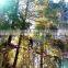 Adventure Tower Outdoor Challenge Obstacle Ropes Course Amusement Park Equipment