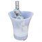 5L LED Speaker Ice Bucket Acrylic Plastic Beer Cooling Party Ice Bucket