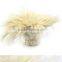 white feather decorations/ grizzly rooster feather/ cock feather