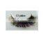 Elliptical Eyelash extensions