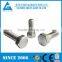 China wholesale bolt nut, duplex steel 2205 bolts