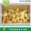 Hot sale new crop fresh ginger