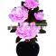 Artificial Fiber Optic Peony Flowers With Led Light Home and Party Decor Lamp