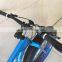 New Product Blue Big Tyre Snow Sand Beach Fat Bike