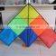 New style Chinese Factory Delta Kite
