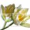 flowers factory price artificial flower wholesale cream tulip flower