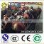 XCMG Chinese Manufacturer Wheel Loader Parts Liugong Xgma Sdlg Hub 80513005 HUB Wheel Boss