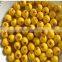 Paintball Pellet Making Machine For Camping Event S610PB