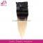 top quality long lasting human hair extension clip in