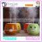 Shenzhen Manufacturer supply facial mini mist humidifier