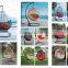 ZT-6012S Rattan/wicker swing chair for outdoor