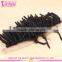 100% unprocessed no synthetic silk top lace frontals 13x6
