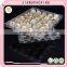 20 Holes New High Quality Plastic Quail Egg Cartons