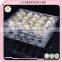 20 Holes New High Quality Plastic Quail Egg Cartons