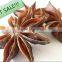 Best Quality New Crop Dried Star Aniseeds