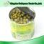 high quality canned green bean