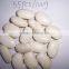 2014 different varieties of white kidney beans from China with cheap price
