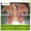 wholesale Halal frozen chicken shawarma