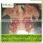 Wholesale uk Halal Frozen Chicken shawarma