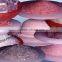 Himalayan Red Salt 100% Food Grade Organic