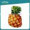 Toprank Customize Special Toy Food Fruit Printed Kids Bedding Decorative Cushion 3D Photo Digital Printed Cushion