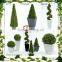 Hot selling artificial plant high sumulation artificial plant indoor decor artificial plants