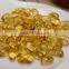 100% nature Reishi mushroom Ganoderma lucidum extract Ganoderma lucidum spore oil softgel reishi soft capsule