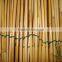 fern screen