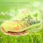 autumn men sport shoes running brand for male, adults fly fabric running shoe sneaker good quality