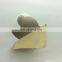 Packaging labels, aluminum printing, stamping gold wiredrawing labels