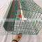 Automatic Cage System Chicken Farm Poultry Equipment