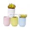 Special flower pot for gardening and succulent potted plants